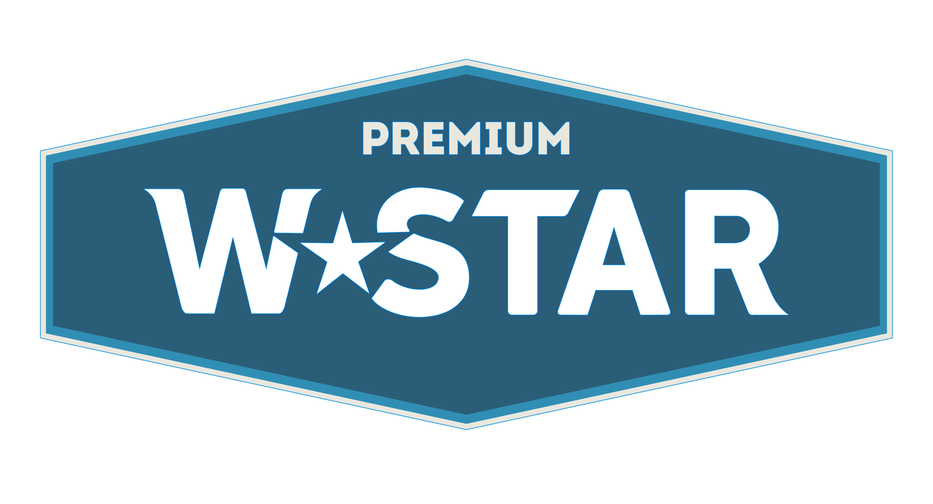 Логотип W STAR