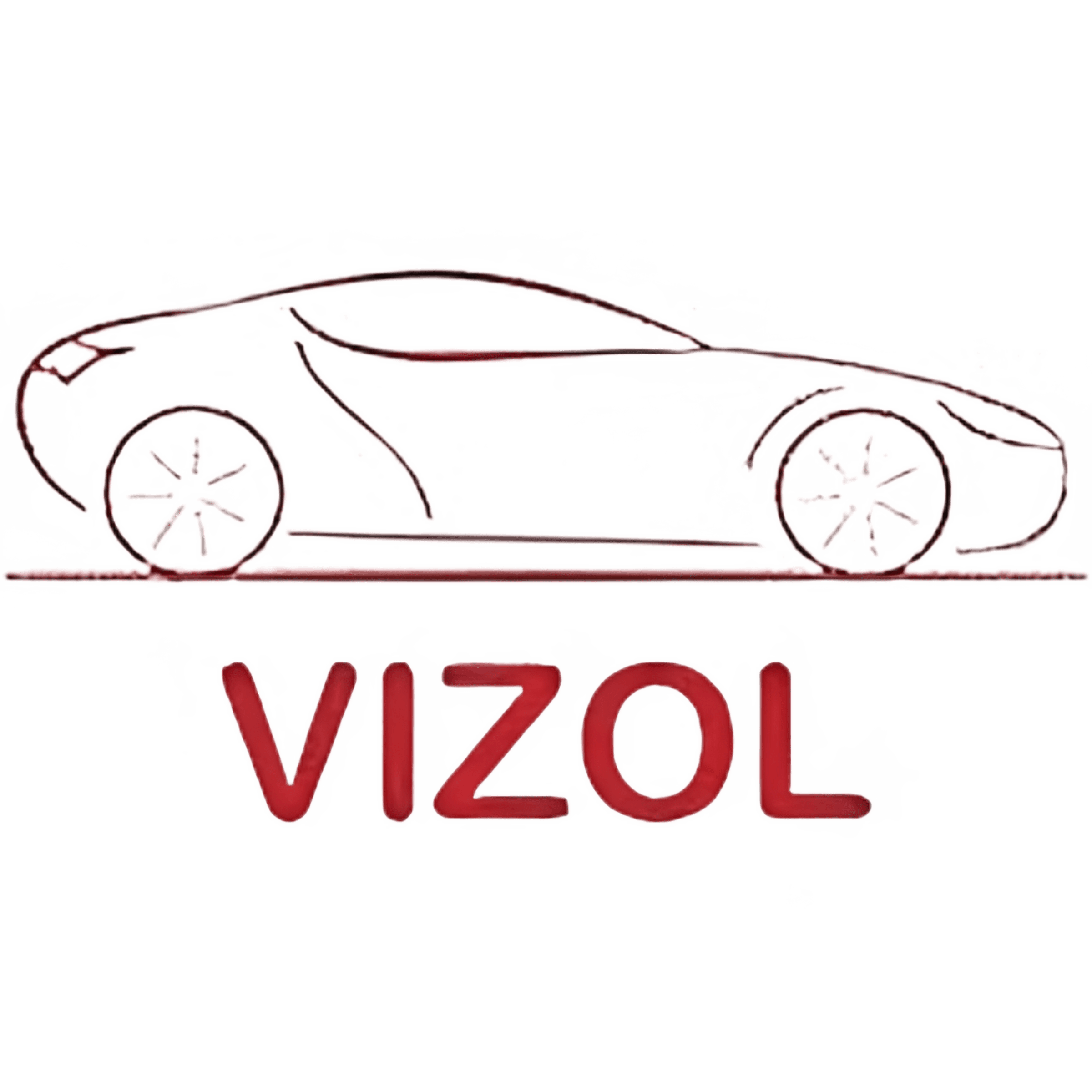 Логотип Vizol