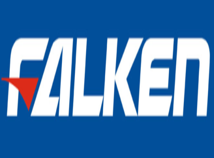Логотип Falken