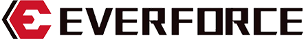 Логотип EVERFORCE