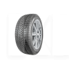 Шина зимняя 255/45R19 104V XL Elect PIRELLI (1000429137)