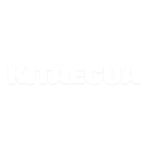 Амортизатор передний газомасляный MEYLE на Chery AMULET (A11-2905010BA-GM) - 2