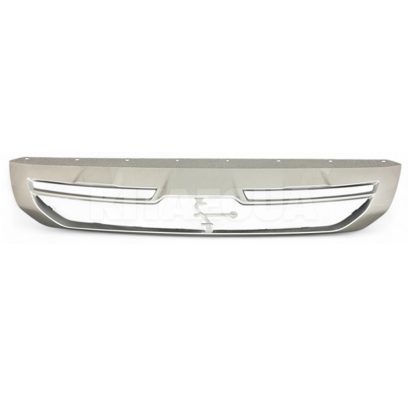 Накладка пластикова сіра переднього бампера BYD на BYD EV Song Plus (13989862-00) - 3