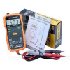 Мультиметр цифровий 0-600В SMART PM8231 PROTESTER (PM8231)