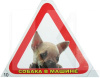 Наклейка "Собака в машині" (трикутник) VITOL (STICKER-DOG-10)