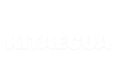 Пістон заднього правого замку на Chery AMULET (A11-6205235) - 2