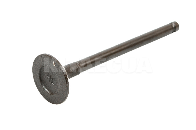 Клапан выпускной (1шт) на Geely GC6 (1016052220) - 4