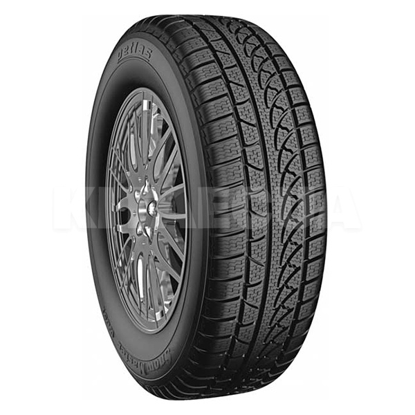 Шина зимова 245/45R19 102V XL Snow Master W651 Petlas (1000314196)