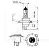 Галогенна лампа H4 60/55W 12V CityVision +40% PHILIPS (PS 12342 CTV BW)