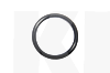 Прокладка термостата (кольцо) 1.6L PMC на CHERY AMULET (480-1306011)