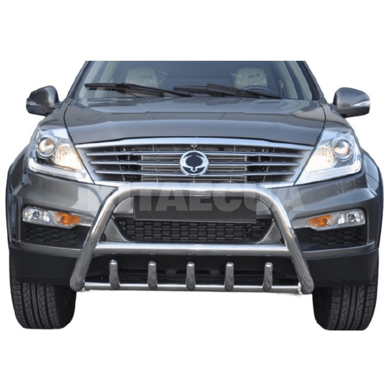 Кенгурятник WT003 SsangYong Rexton I 2001-2017 нержавеющая сталь CAN (dug691178) - 3