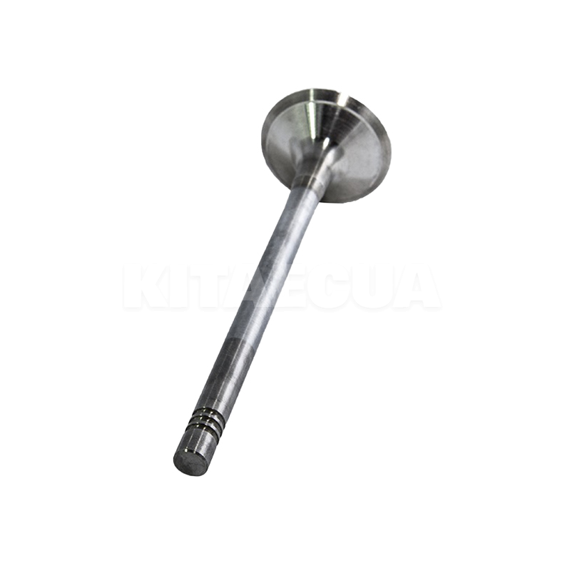 Клапан впускной (1шт) 1.6L ОРИГИНАЛ на Chery AMULET (480E-1007011)