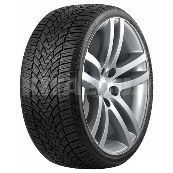 Шина зимняя 215/50R17 95H XL Winter Xpro 888 Roadmarch (1000385481)