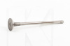 Клапан выпускной (1шт) 1.3L INA-FOR на Chery BEAT (473H-1007012BA)