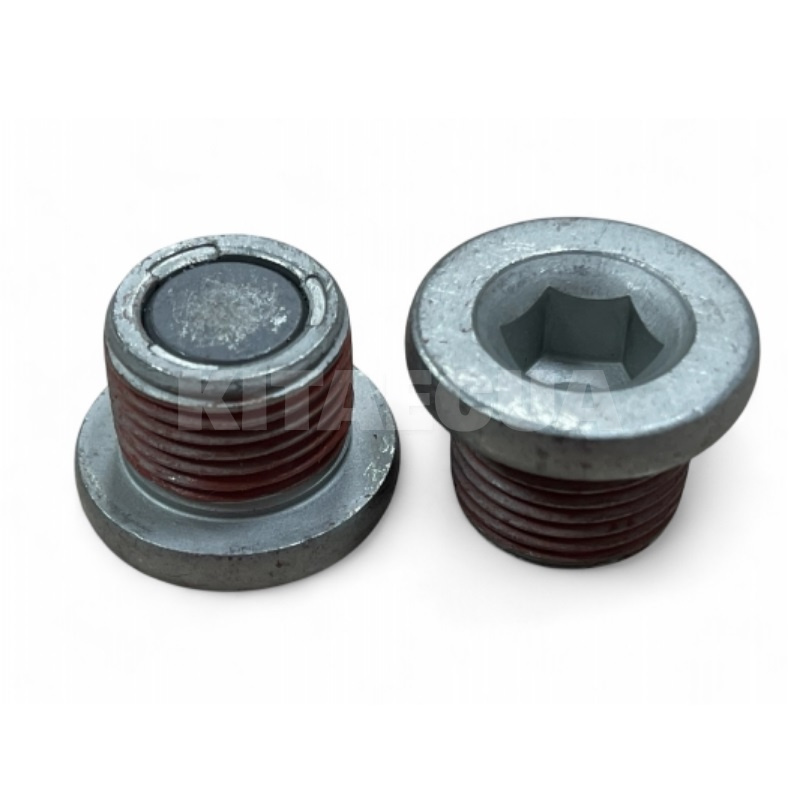 Болт слива масла BYD (11019251-00)