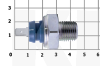 Датчик давления масла ОРИГИНАЛ на Chery AMULET (A11-3810011)