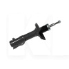 Амортизатор передний газомасляный MEYLE на Chery AMULET (A11-2905010BA-GM)