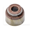 Сальник клапана PAYEN на Geely GC5 (E010510005)