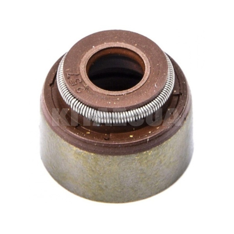 Сальник клапана PAYEN на Geely GC5 (E010510005)