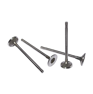 Клапан выпускной (4шт) 1.6L 