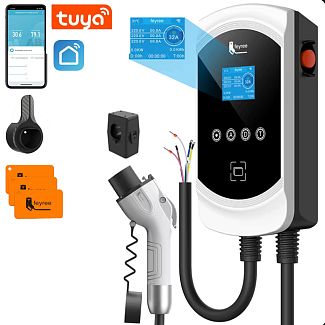 Зарядка для электромобиля GB/T AC 7.4 кВт 32A1-фаза Gemini Wi-Fi DLB FEYREE