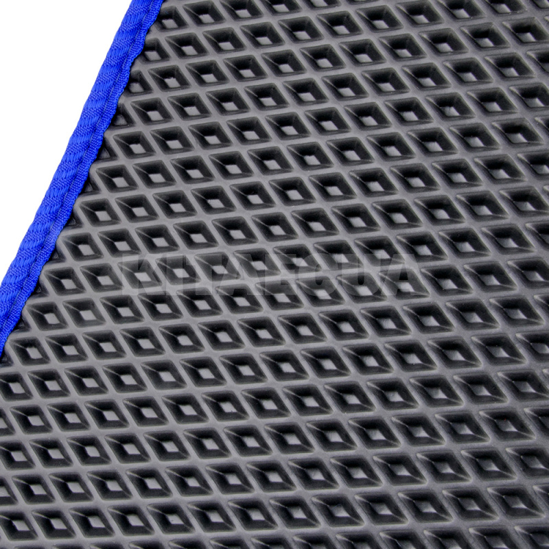 килимки в салон Renault Scenic 2 (2003-2009) чорні із синім кантом + лого EVA (38 31-EVA-BL-T1-BLU) - 3