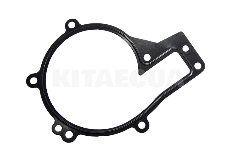 Прокладка помпы на Chery EASTAR (481H-1307041) - 2