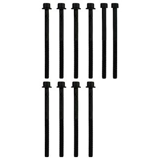 Болт головки блоку циліндрів (ком-кт 10 шт) VICTOR REINZ