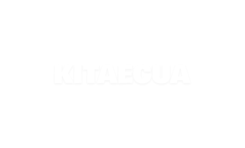 Накладки педалей на TOYOTA bZ4X (NP-BZ4X) - 4