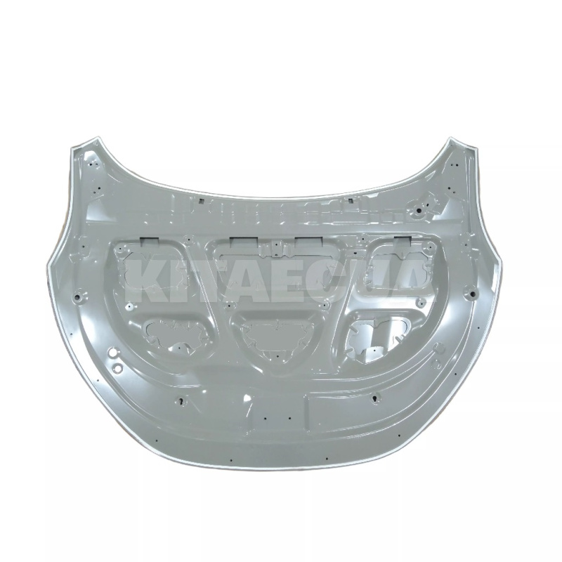 Капот BYD на BYD Tang (12453237-00) - 2