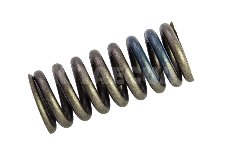 Пружина клапана 1.5L ОРИГИНАЛ на ZAZ FORZA (481H-1007014BA)