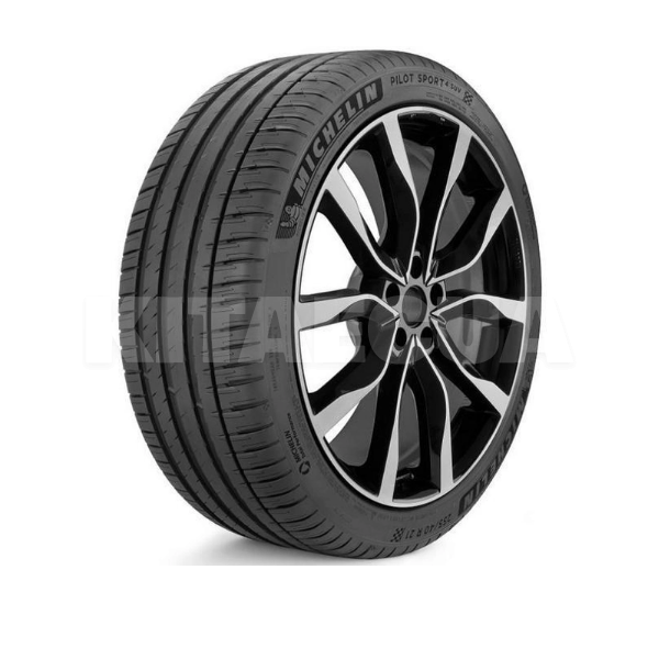 Шина летняя 255/45R19 100V Michelin (1000340382)