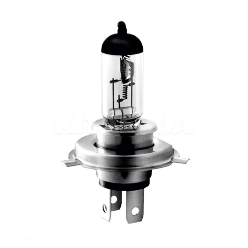 Галогенна лампа H4 100/90W 24V Master Rally CP BREVIA (24040MRC) - 2