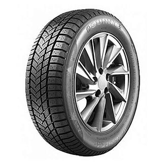Шина зимняя 205/55R16 91H Winter-maX A1 NW211 Sunny