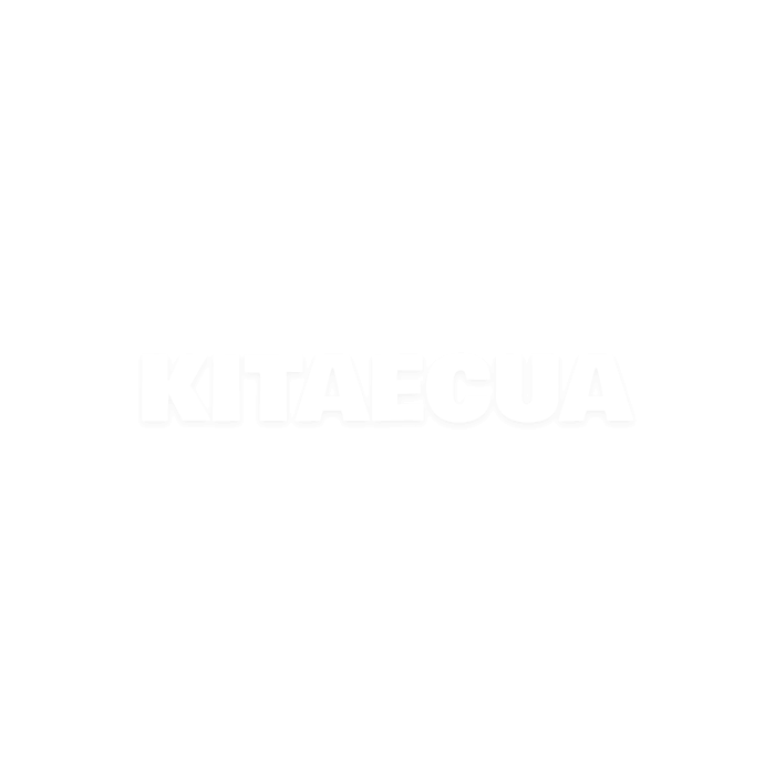 Подкрылок передний правый на VOLKSWAGEN ID.4 CROZZ (11A 809 958 A)