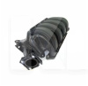 Колектор впускний на Geely EMGRAND EC7 (1016050276)