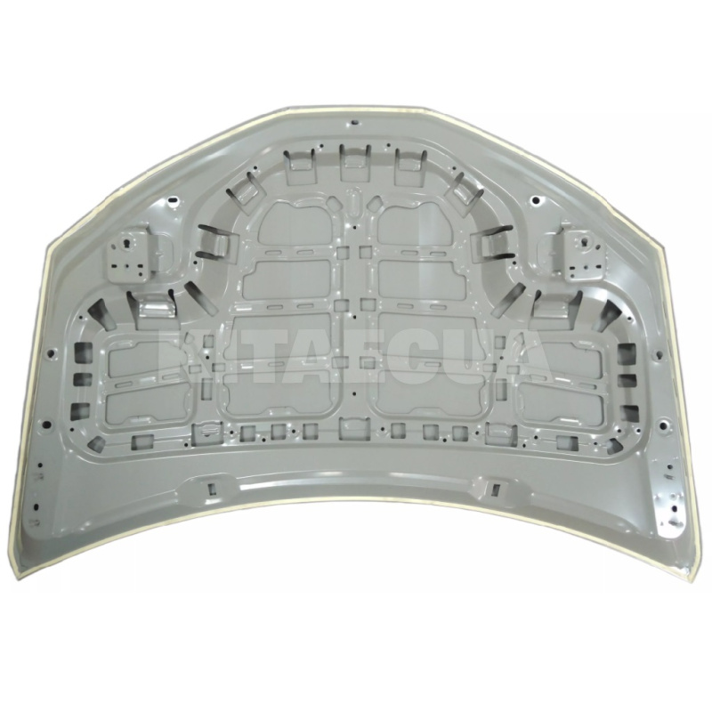 Капот Zeekr на ZEEKR X (6608088349C15) - 2