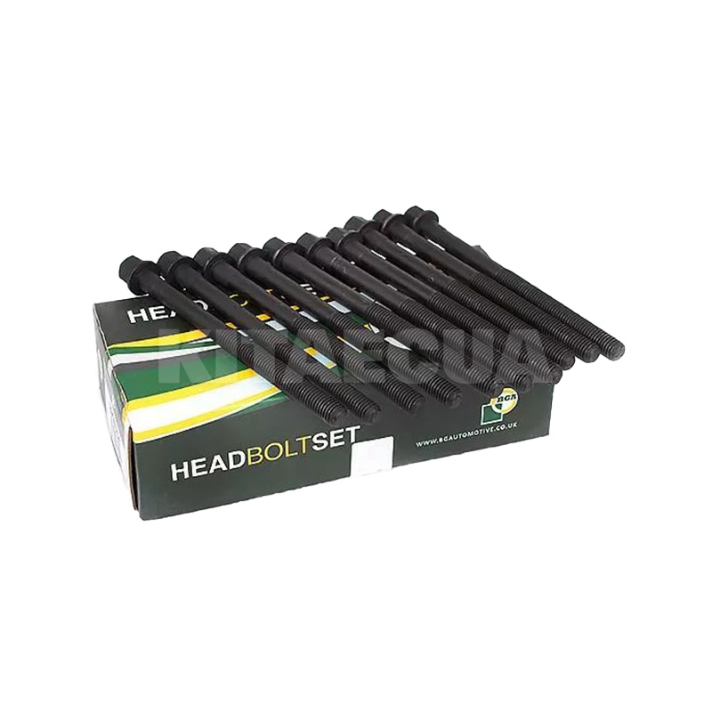 Болт головки блока цилиндров (ком-кт 10 шт) 1.6L BGA на Chery AMULET (480-1003082-K) - 3