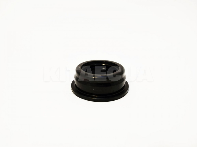 Сальник свічкового колодязя KLM Autoparts на BYD S6 (10187506-00)