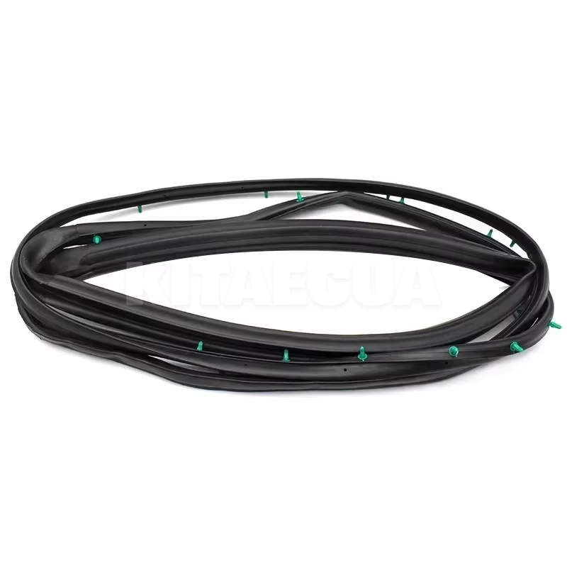 Уплотнитель двери задний правый (T11-5402440)