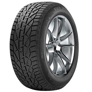 Шина зимова 255/45R20 105V XL SUV Winter Taurus