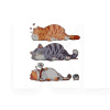 Наклейки "Сплячий кіт" для автомобіля (3шт.) (Sticker-Sleeping-Cat)