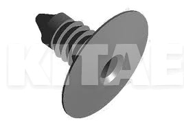 Фіксатор обшивки ОРИГИНАЛ на Chery AMULET (A118210019)