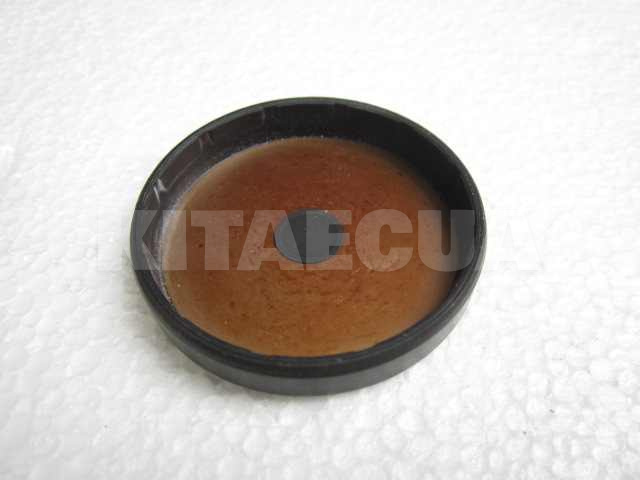 Заглушка полуоси AT на Chery EASTAR (MN130496)