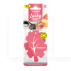 Ароматизатор Lucky Leaf Peach "персик" сухий листок Winso (537930)