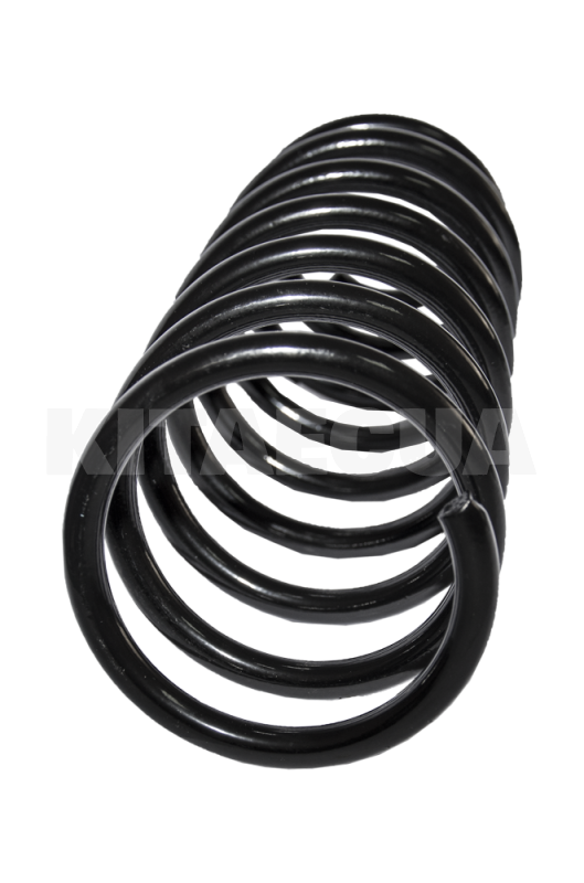 Пружина задней подвески на Chery AMULET (A11-2912011) - 3