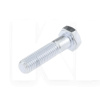 Болт М6 х 10 ТВ-8.8 DIN-933 (6 10 03-AfterMarket)