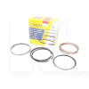 Кільця поршневі 0.25 MAR-MOT на Geely GC2 (PANDA) (E020110010-0.25)