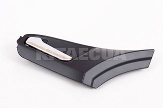 Ручка дверей внутрішня передня ліва 