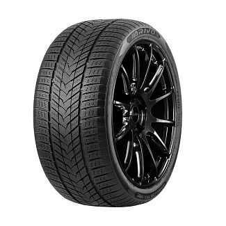Шина зимова 255/45R20 105V XL Winmaster ProX ARW5 Arivo
